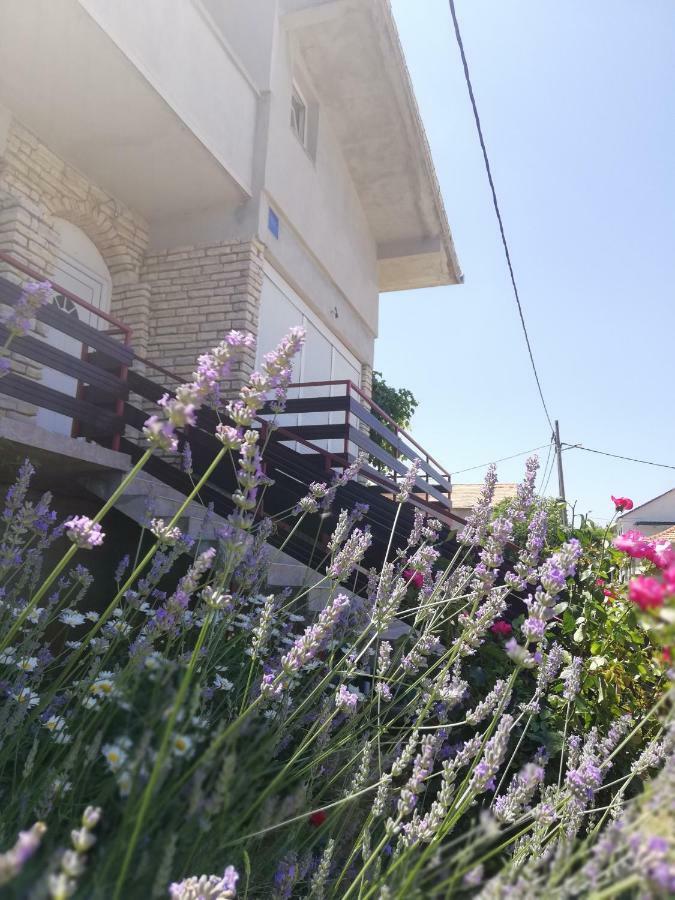 Apartmani Marija ปาชมาน ภายนอก รูปภาพ